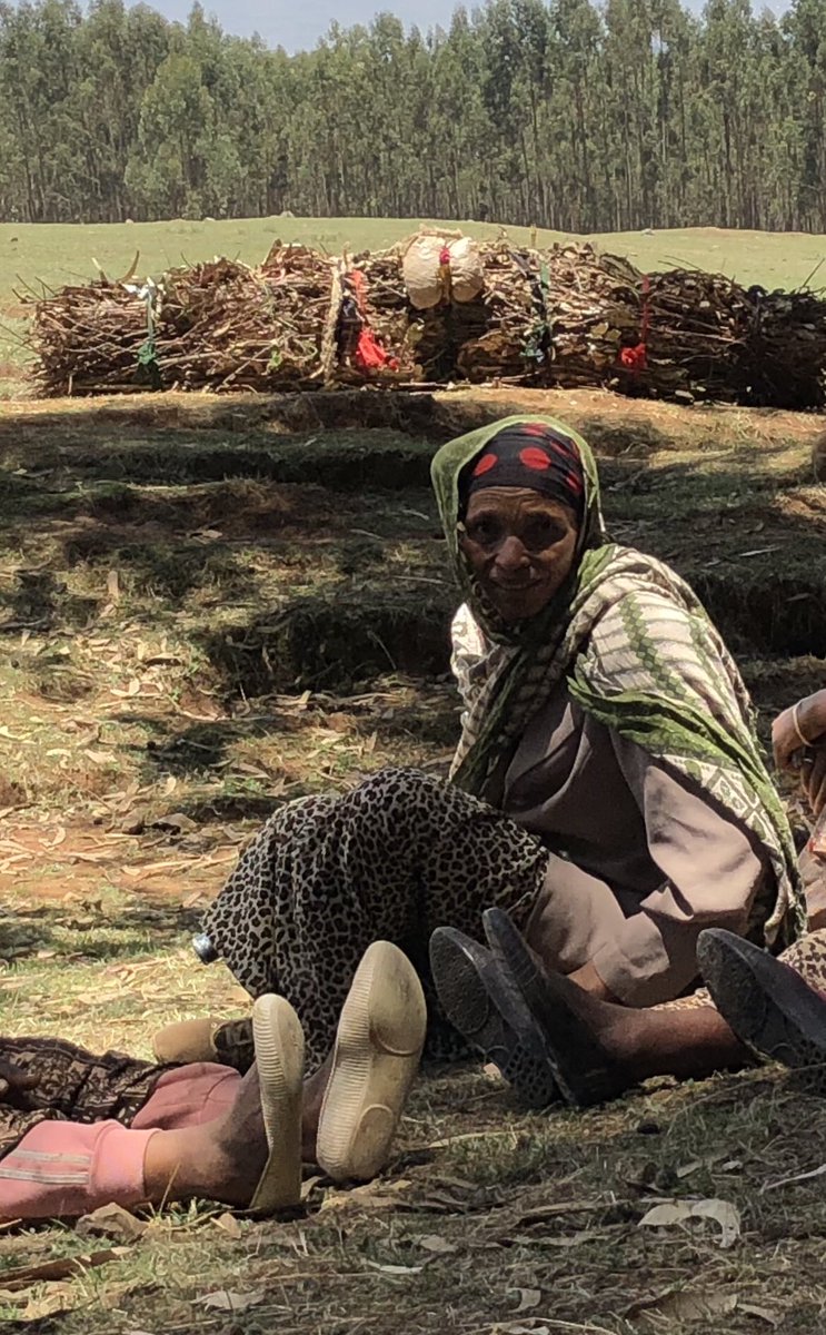 Andreas Gaarder, Norwegian Ambassador tweet media