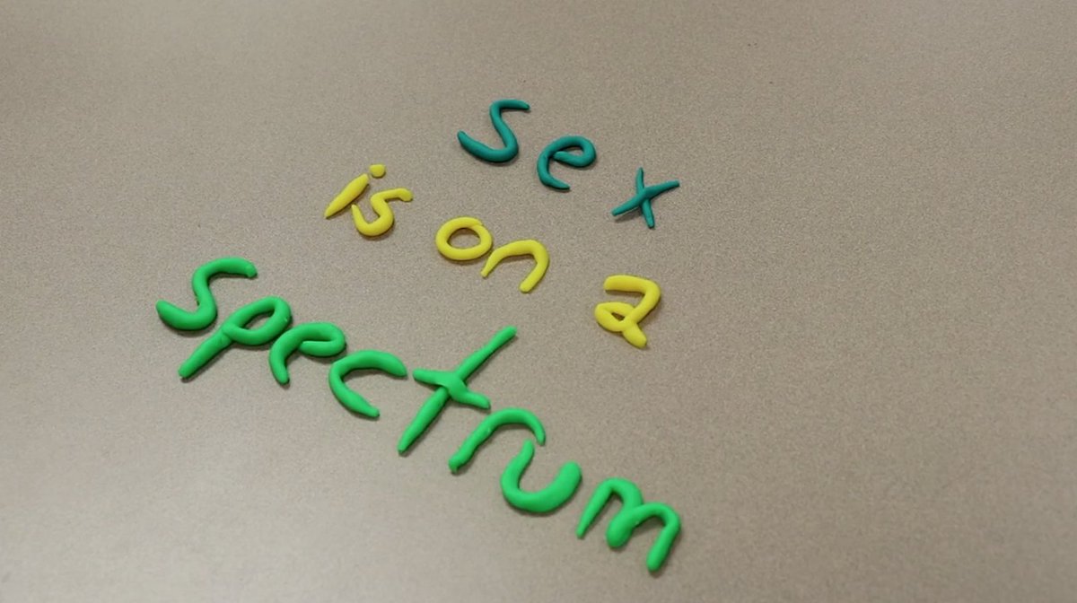 CoralinePettine's tweet photo. Sex is not determined solely by if you have a penis or if you have a vagina. It is a result of a variety of factors. This is why sex is on a spectrum.
#RethinkGender #RethinkingGender #Genderequity #GenderRights #WomensRights #MensRights #TransRights
https://t.co/XwFJHDOCep https://t.co/9D56mExYRh