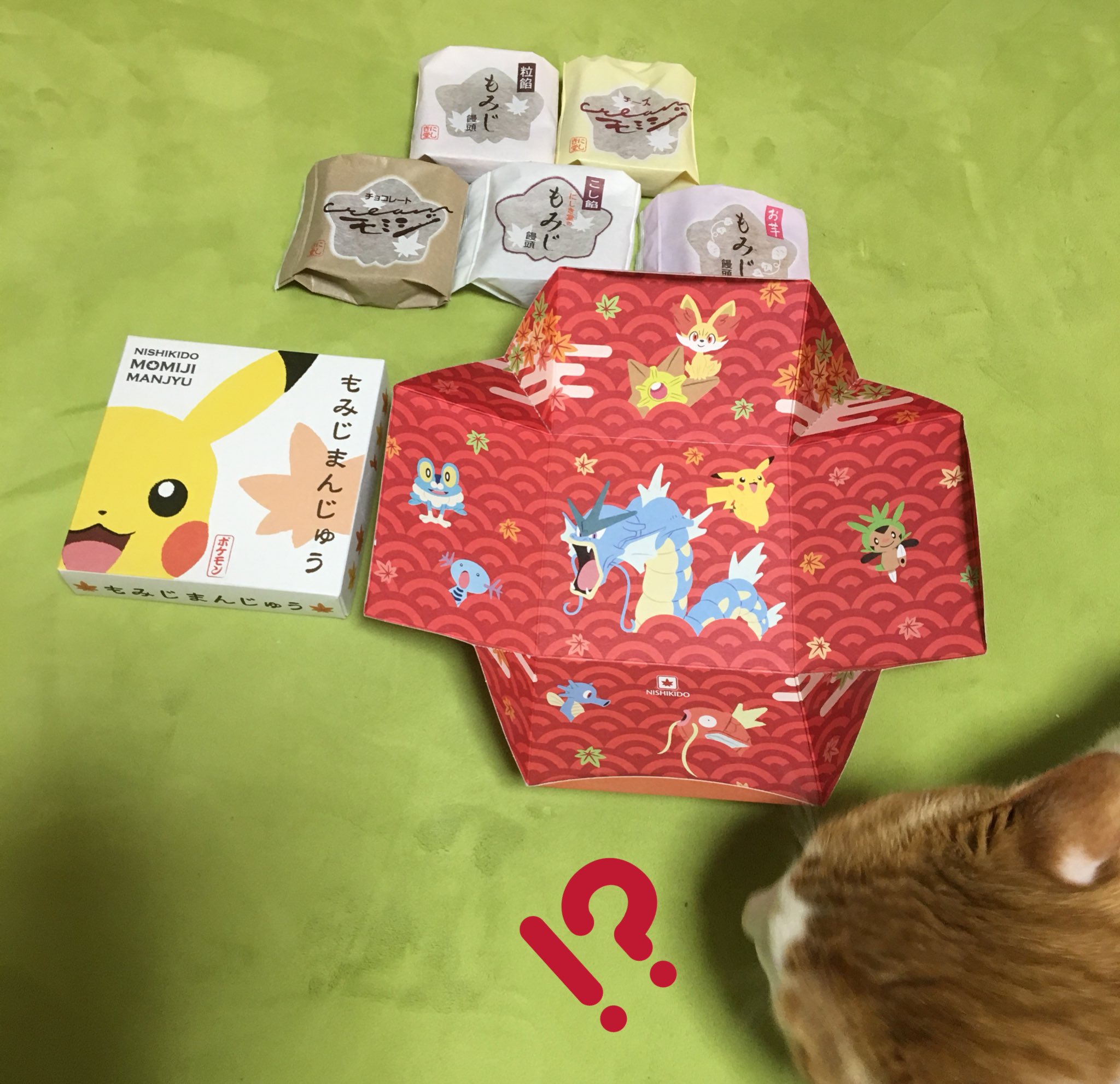 なっちゅ8 Sur Twitter 一人広島の実家に帰省していたダンナさんが買ってきてくれたお土産 ピカチュウもみじ饅頭の箱がかわゆす 広島だから広島カープで 鯉 カープ コイキング ギャラドス なわけね 広島 もみじ饅頭 ポケモン ピカチュウ