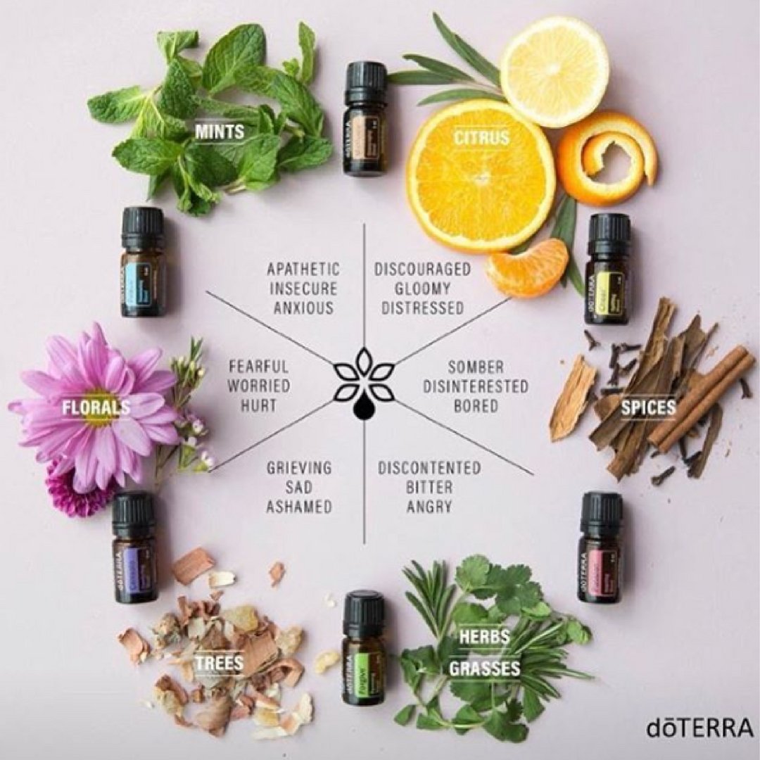 LilliesOriental's tweet photo. HOW DO YOU FEEL TODAY? You could feel differently, quickly. https://t.co/Na08X469Y3 Love, Liz x #essentialoils #psychoaromacology #essentialoilsandthebrain @doterra @doterrascience #psychoaromatherapy @MindCharity @CharitySANE @SolentMind https://t.co/oJYsDipjwz
