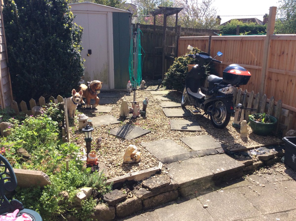 Jasonevans (@jasonev17800561) on Twitter photo 