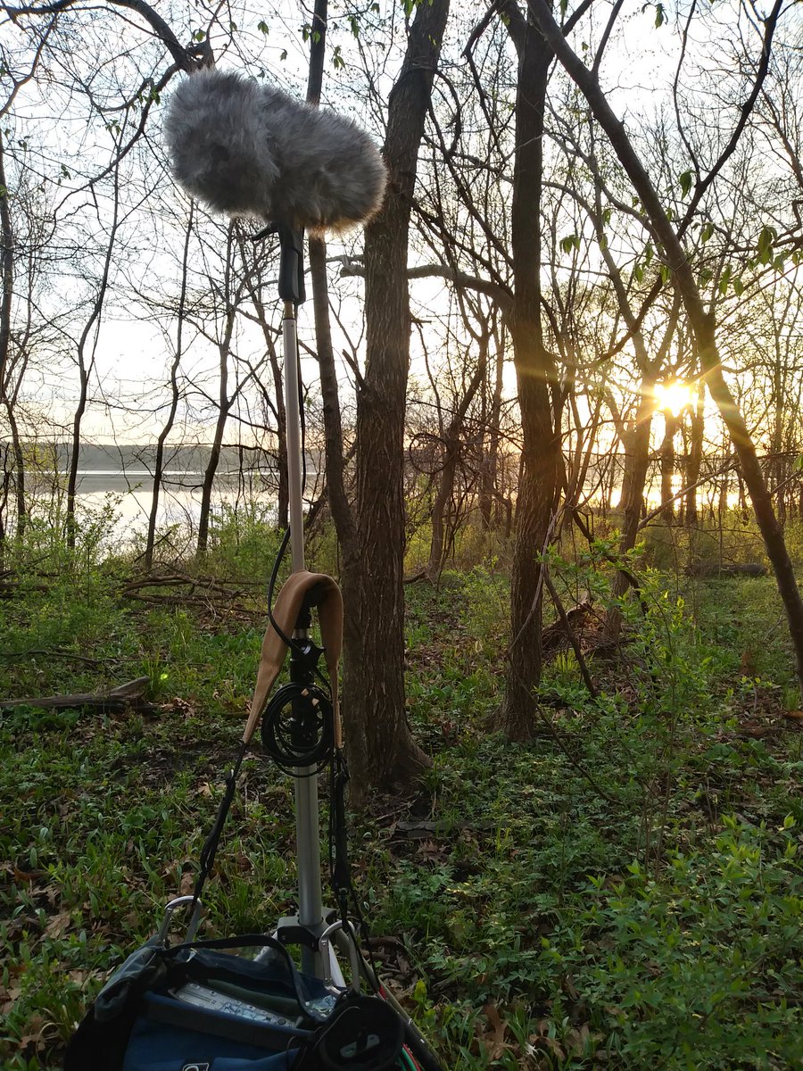 jalexcooney's tweet photo. Beautiful morning for #IDCD and #reveil2018! Listen to the live stream here https://t.co/P70AJLb4jw https://t.co/fwcLlMTtc9