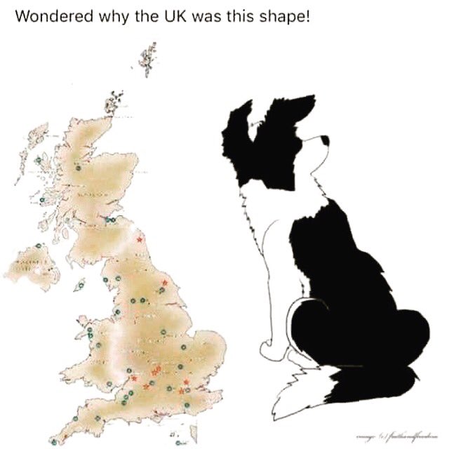 PawfectPlay's tweet photo. A little bit of #fun this bank holiday weekend! Stay tuned for more! 

#bankholiday #dogart #dogpics #maps #dogsofinstagram #dogsoftwitter #comparison #bordercollie #collie #uk https://t.co/7dfjKEQynb