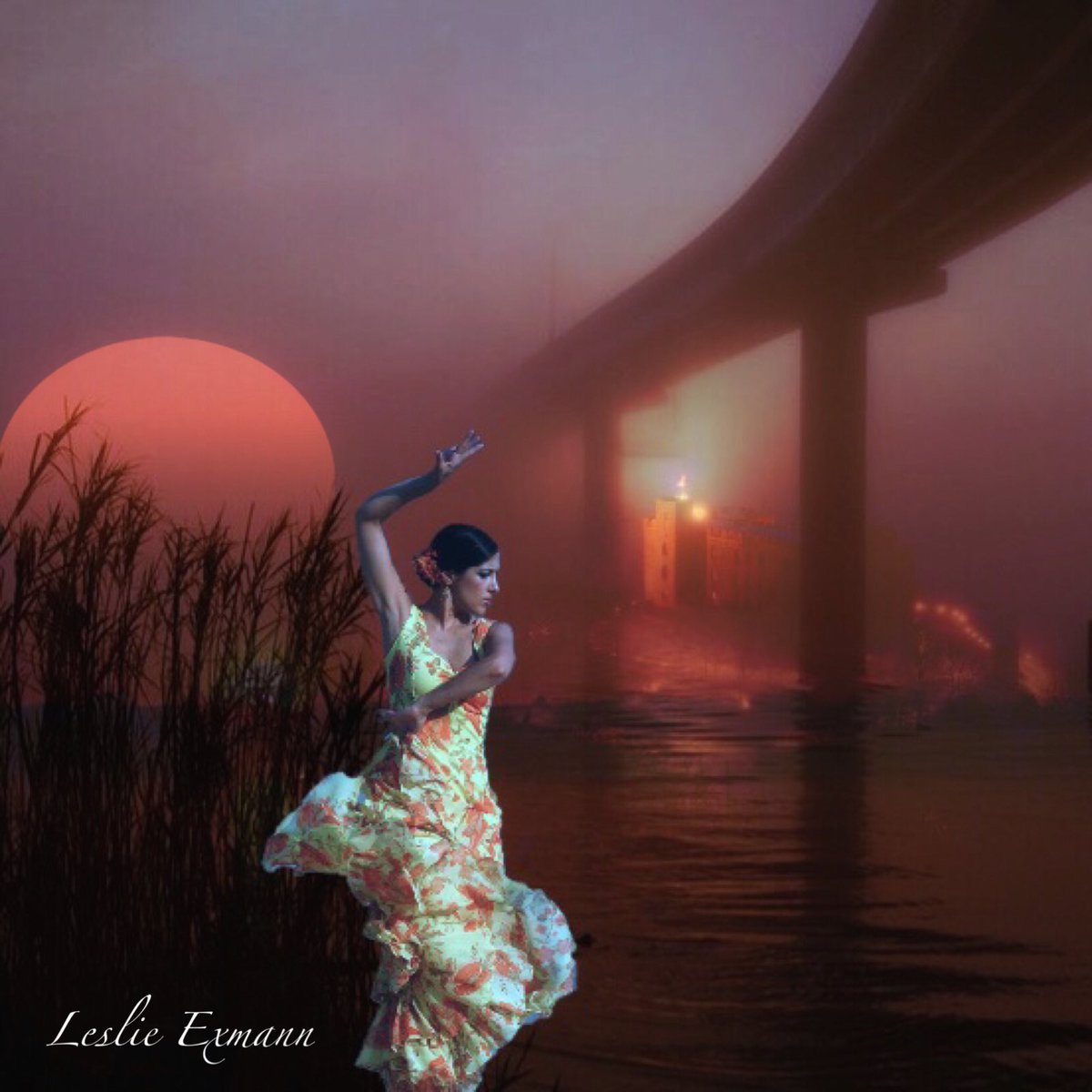 Leslie Exmann tweet media