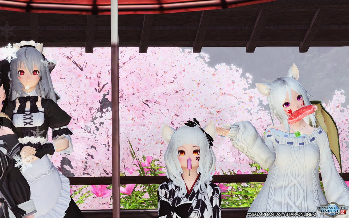 にゃにゃさん@PSO2 tweet media