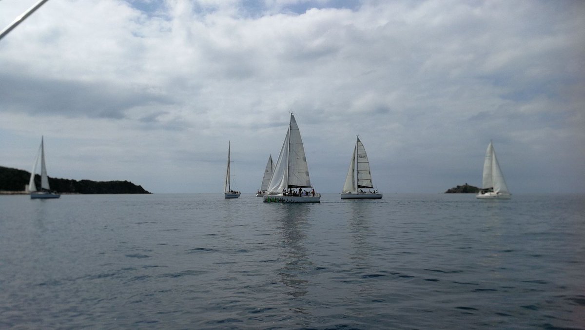 BolognaBSchool's tweet photo. 43 regatanti danno il via alla VI BBS Sailing Experience. Gli alumni dell’Executive MBA, dell’MBA Part-time Serale e Weekend, del Global MBA e dell’Executive Master in Supply Chain and Operations, si confrontano con il lavoro di squadra e la capacità di leadership. https://t.co/20j0haoUFe