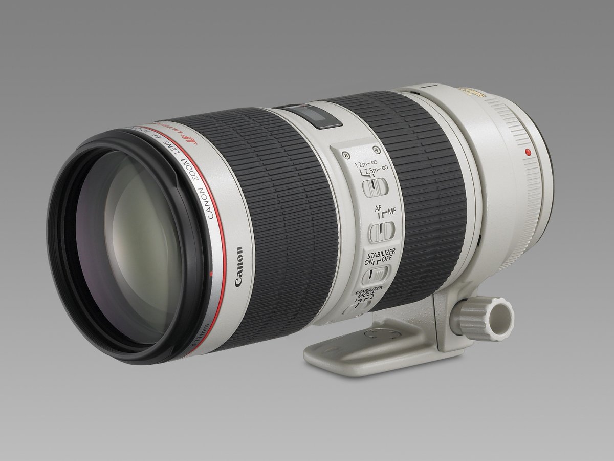 CanonUKandIE's tweet photo. Wildlife and sports photographers, listen up! Just in time for the summer season, you can save £220 / €250 on the EF 70-200mm f/2.8L II USM in our cashback offer: https://t.co/el5T09kgSF (UK) https://t.co/xBXO2zhXbH (IE) https://t.co/899gBLaqpr