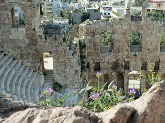 moodhacker's tweet photo. Scent of Ancient #Greece for Visitors: Walk Around #Acropolis and the #Athens Monuments through the Botanical Greek #Flora https://t.co/e047akaTNE https://t.co/YKwq0ygcRc