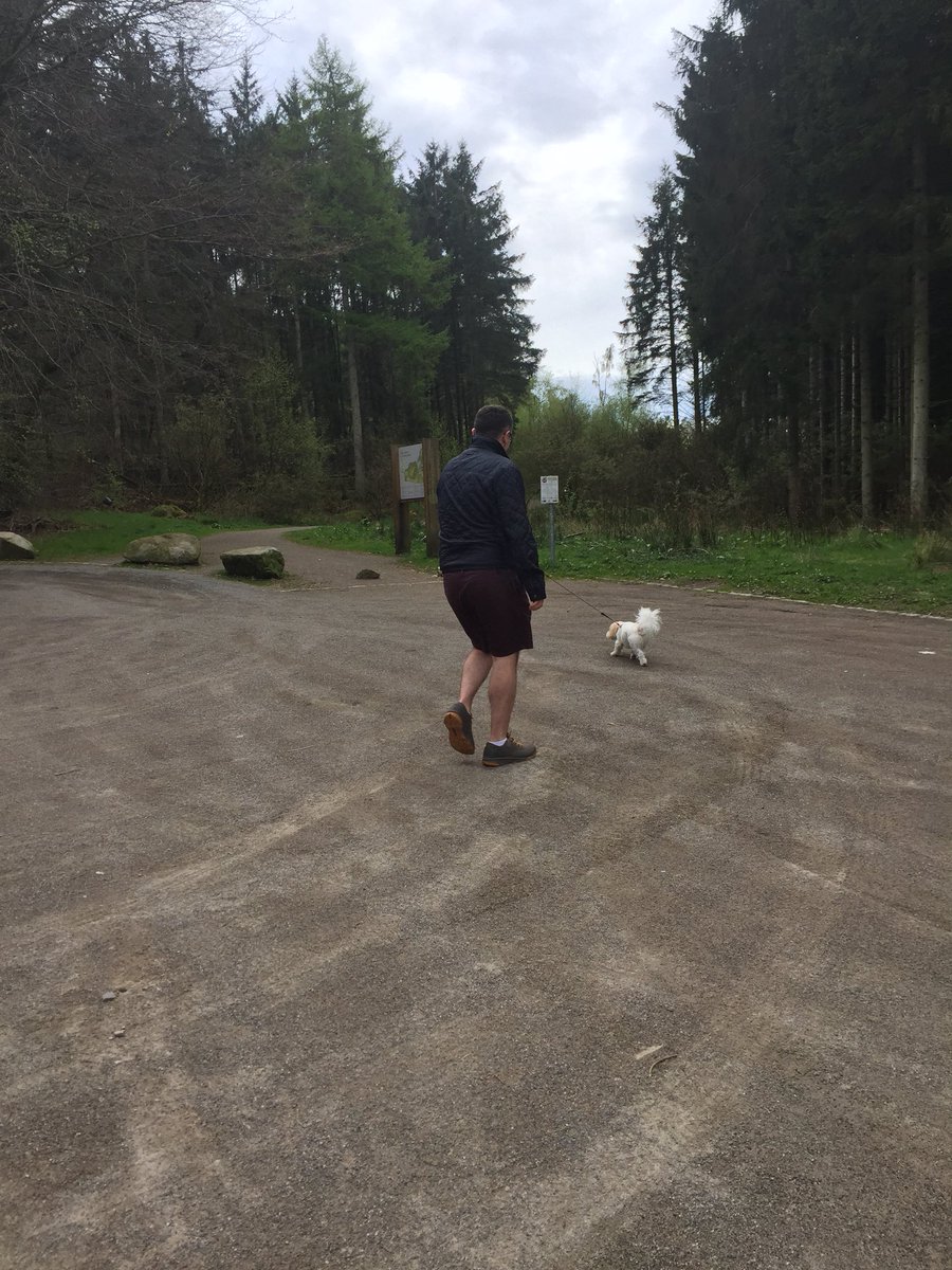 jennimuir0606's tweet photo. Buddy taking @aaskewblain for a walk at Haddo today. Baby Annie in the pram and Lynne and I on vocals to keep her entertained! #shellbecomingroundthemountain https://t.co/sC1gvEAHIS