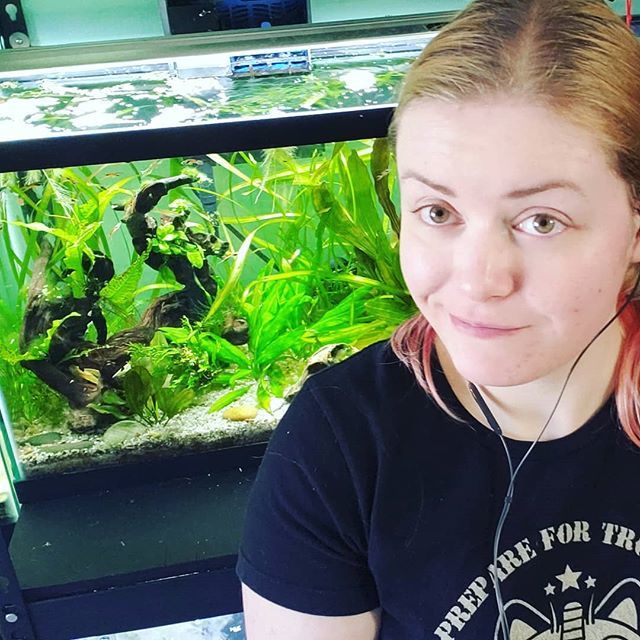 KasiaPetKeeping's tweet photo. When I have to take selfies for YouTube thumbnails. It would have been 1000% cooler if Sunny the veiltail decided to come out from behind a plant. At least the plants look good haha
๐ค๐
#pettube #creativepetkeeping #fishkeeping #selfie #chitown #chicaโฆ https://t.co/nput8RMEzW https://t.co/uSWFZ4JrWh