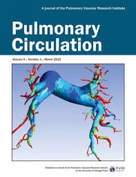gbutrous's tweet photo. on #worldPHday more papers from developing counties are needed to be published in a specialized journals like PulmonaryCirculation @PulmCirc to enhance #PHawareness @phaware #worldphday2018 #GlobalWave4PH @pvri https://t.co/vAqLwQvTor