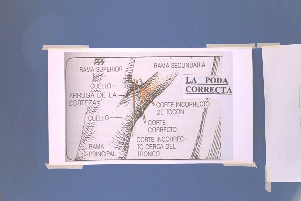 Esquinas Seguras tweet media