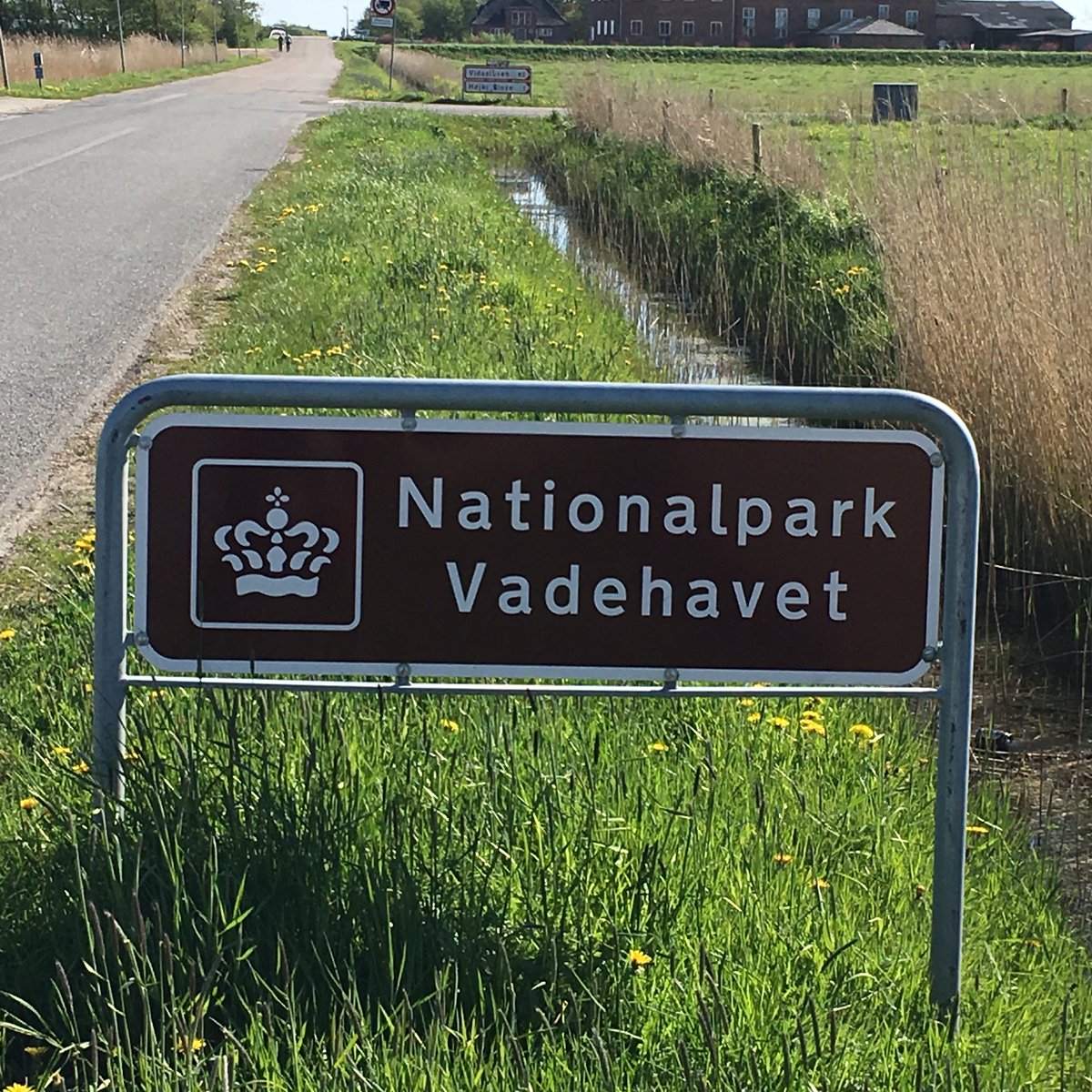 IngaMomsen's tweet photo. #HavFald so schön kann arbeiten sein 😊☀️#materialmalerei #Keinmüllinsmeer #havfalderafald Ideenfindung für eine große Anti-Meeres-Müll-Installation als Deutsch-Dänisches Gemeinschaftsprojekt von 4 Künstlern. https://t.co/oxQMmRBlJK