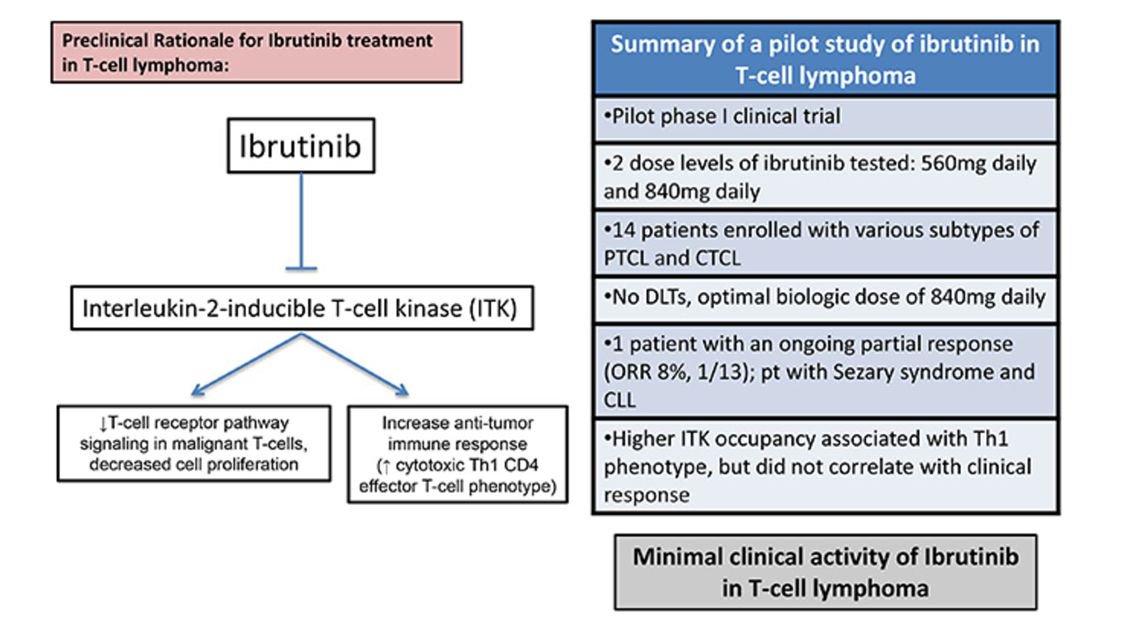 ASH_hematology's tweet photo. Pilot trial of ibrutinib in patients with relapsed or refractory T-cell #lymphoma https://t.co/39UoQoBbQi via @BloodAdvances #lymsm https://t.co/LGKbAqNJhQ