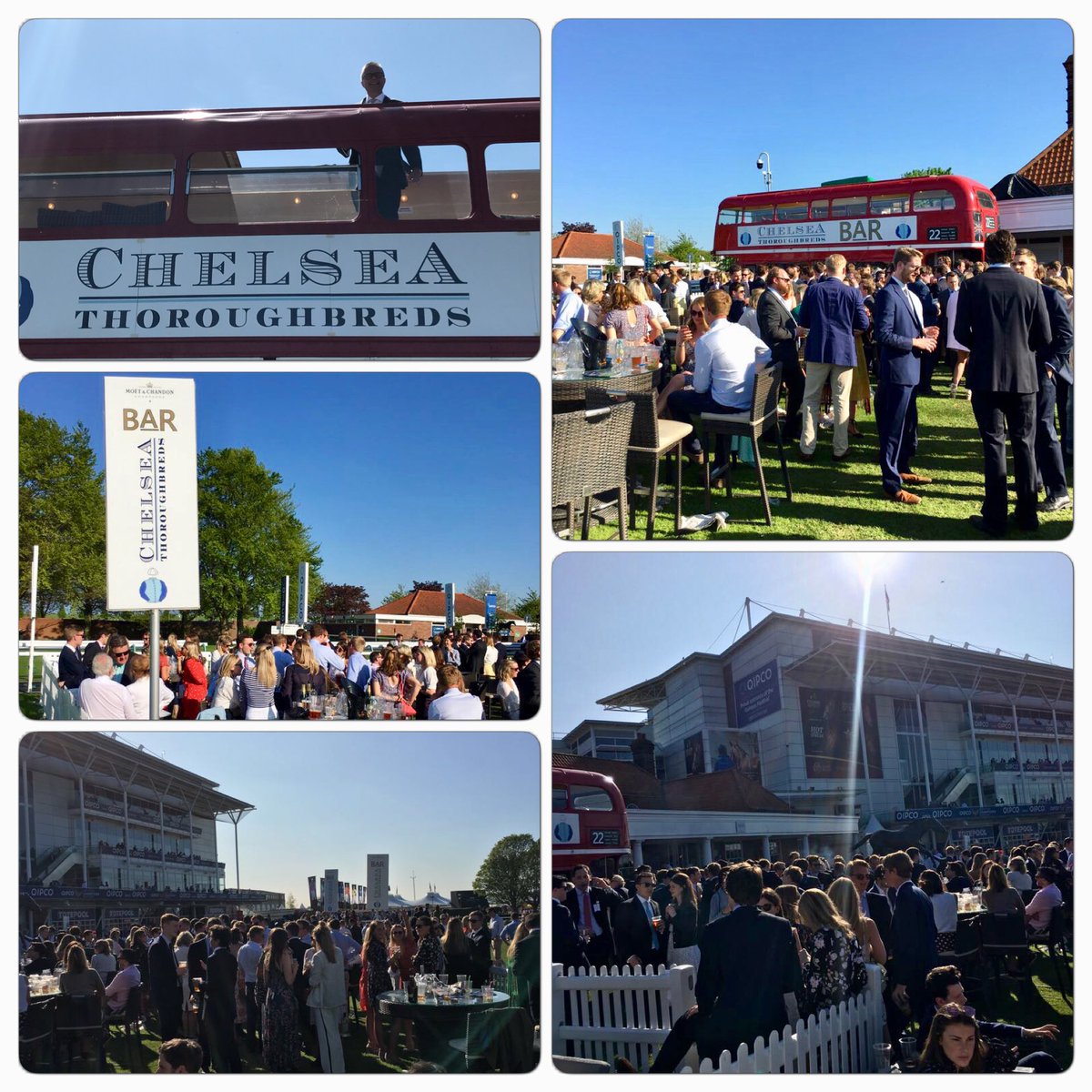 ChelseaTbreds's tweet image. ....the most gloriously 🌞 🌞🌞 day @NewmarketRace for our VIP London Bus Bar - and we’re only half way there ! See you all again tomorrow for the 1000 Guineas ! #guineas #festival 🐎💨