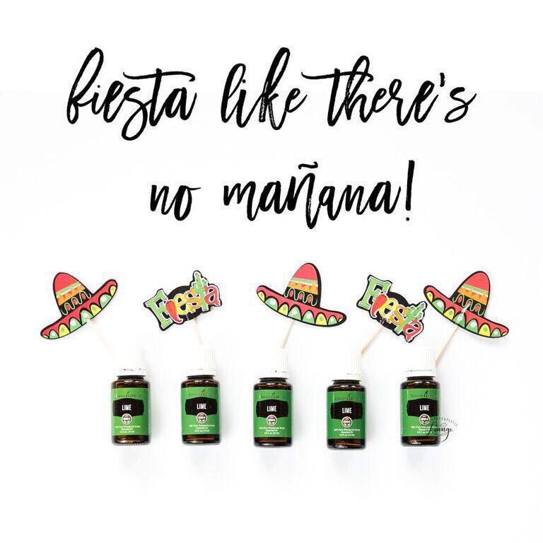 ylmaryevans's tweet photo. Happy Cino De Mayo!! 

What is your favorite Vitality Oil?  #YoungLiving  #EssentialOils https://t.co/1c7MMn1n04