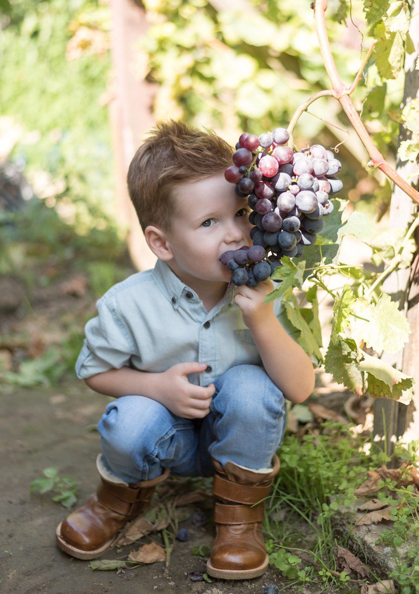 TheWeekendWino's tweet photo. Caption this photo. 😀🤣
#wine #winelover https://t.co/ezItaFz7ET