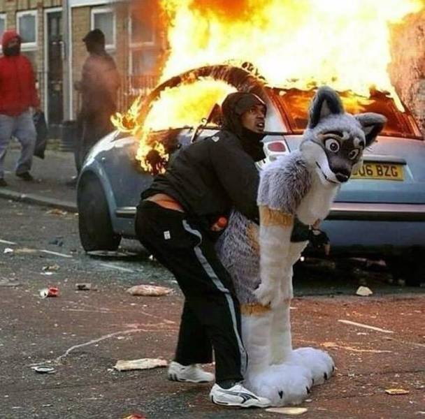 Непонятно что с ним. Хранительница рычага. Странные смешные картинки. Ничего не понятно. Непонятные мемы.