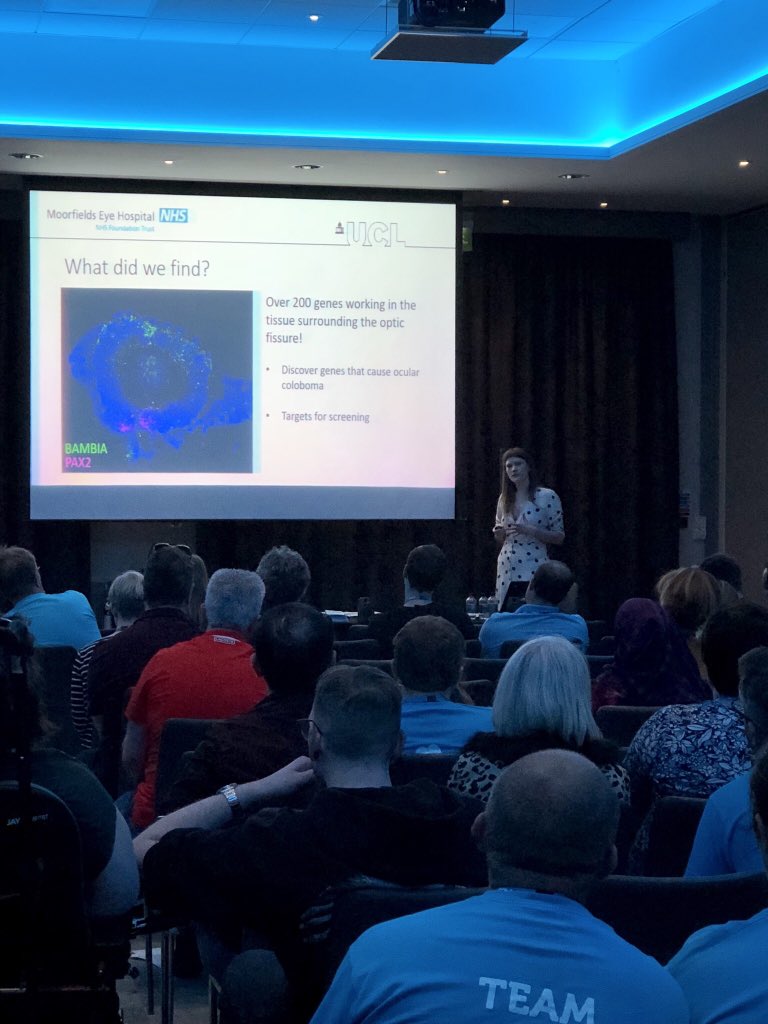 MariyaMoosajee's tweet photo. My wonderful team @DrRose_Tweets, Sam Malka and Chris Way ran a #workshop at the @MACSthecharity #family weekend- great audience being updated on #research and #genomes100k @GenomicsEngland @UCLeye @Moorfields and participation in modelling #eyes! https://t.co/JQYH5U7kOO