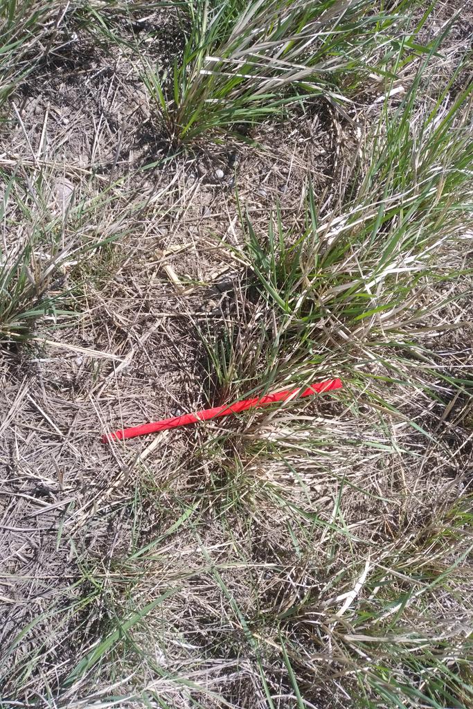 A lot of these menaces in the ditch today#4HHighwaycleanup#banthestraw