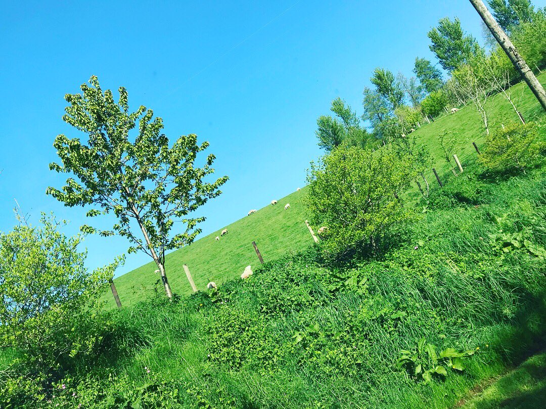 Such a beautiful day!
We love carrying out property checks on days like these.
Happy Bank Holiday Weekend!
#bankholiday #sun #devon #Countryside #river #views #sunshine #spring #green