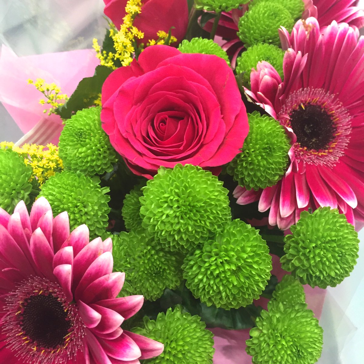 DrEjikeme's tweet image. I got these beautiful flowers and today they remind me of skin. They need to be cared for, with water, food and pruning, just like your skin. For life long beautiful skin look after it when it&apos;s beautiful and when it needs help #beautifulskin #DrEjikeme #AdoniaMedicalClinic