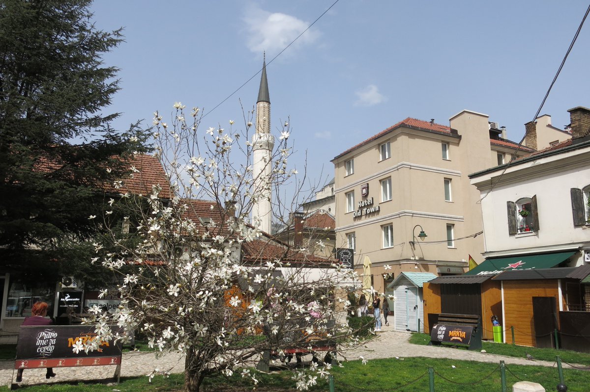 Colombocity's tweet image. Vakkert i Sarajevo. Anbefales!