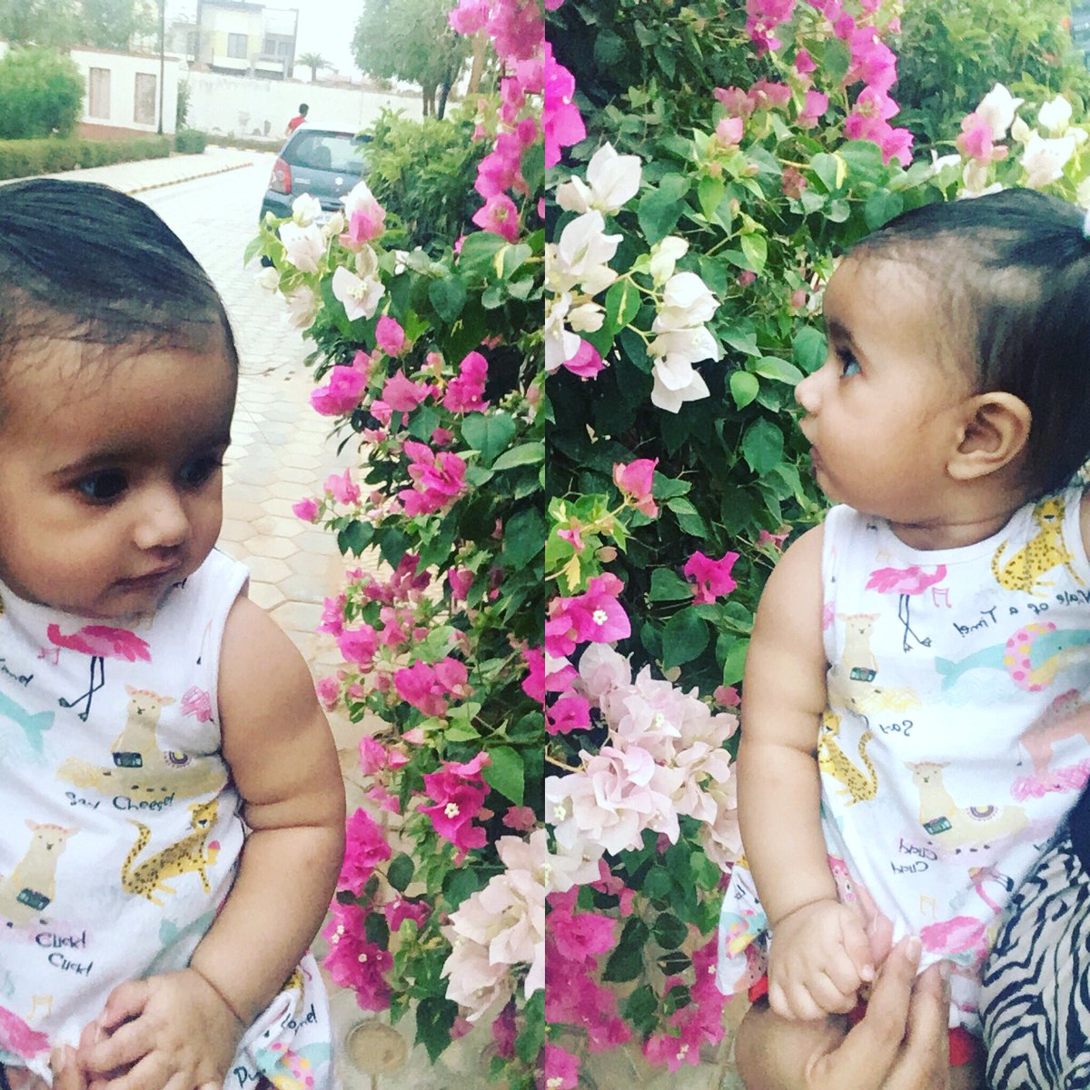 niasjournal's tweet photo. When #hotevening well spent #flowergazing #flowerstagram #iloveflowers #nia #niastyle #niafashion #niasjournal #cutebaby #cutebabygirl #cuteoutfit #cutnessoverload #cutenessoverloaded #babymodel #posing #babymodelling #instababygirl #instababy #model #modelling #modellife https://t.co/Pex9JT4gZb