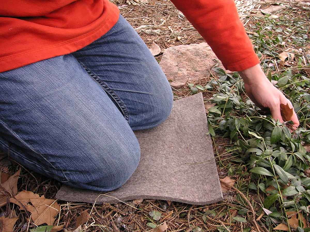 feltstudiomedia's tweet photo. Felt works...
125) โฆ to kneel on in the garden
https://t.co/i4zg7yNbBt
#365piecesoffelt #easyontheback #cleanjeans #kneepad #feltworks #handyhomeaccessory #familyfelt #everydaylife #homemade #felt #feltstudio https://t.co/fpjITcN8Br