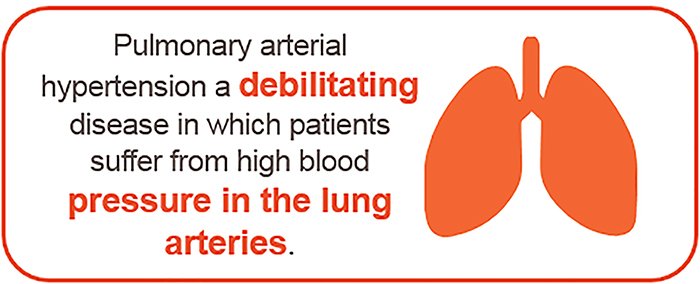 We’re researching and developing new treatments for disorders of the lungs, such as pulmonary arterial hypertension, to help people #LiveEveryBreath #WorldPHDay