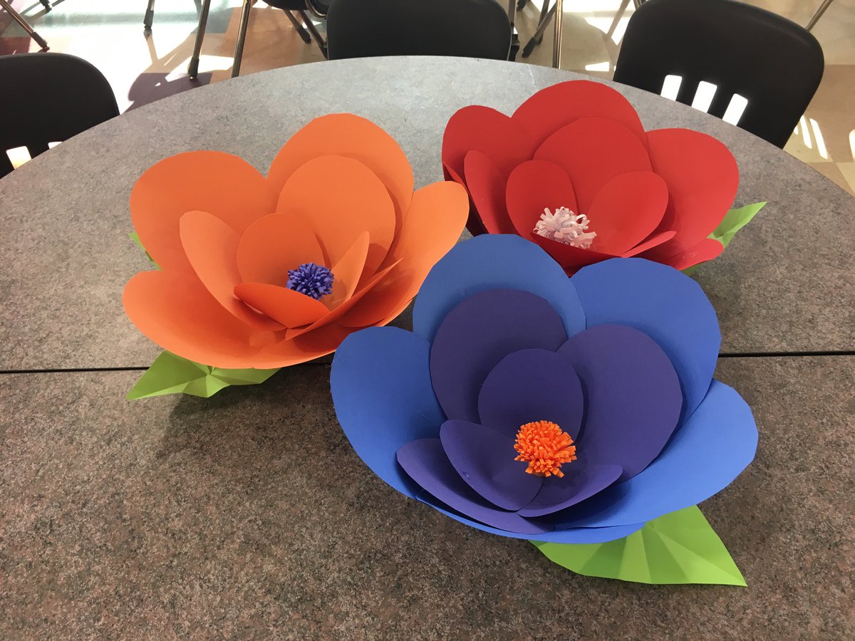 Lindsey Sanders tweet media