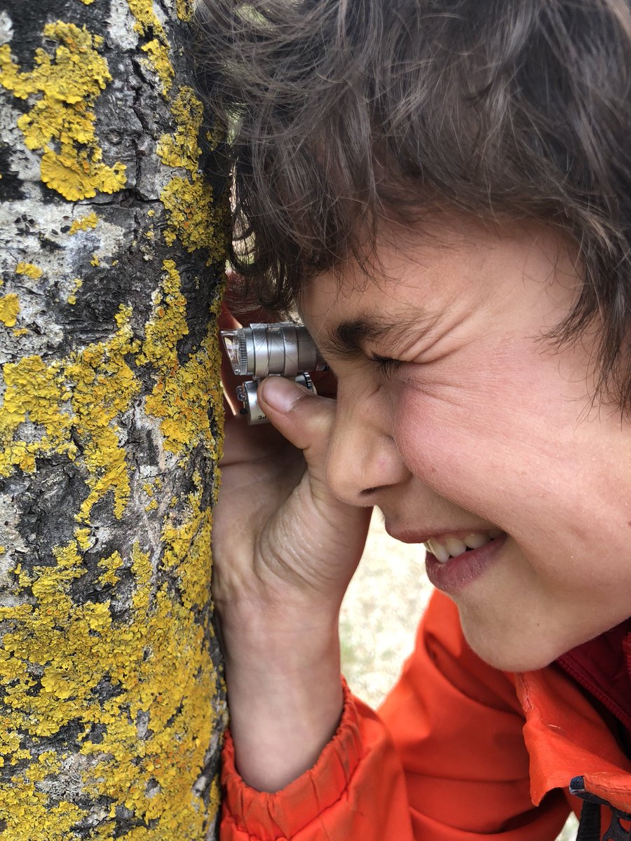 Cercavores's tweet photo. Immersió en la Natura al #bioblitz de CanMaçana! @PNMontserrat @PedreraFundacio https://t.co/xaFWAFvoaB