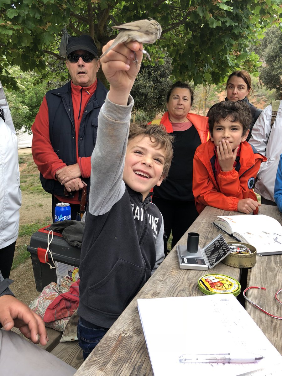 Cercavores's tweet photo. Immersió en la Natura al #bioblitz de CanMaçana! @PNMontserrat @PedreraFundacio https://t.co/xaFWAFvoaB