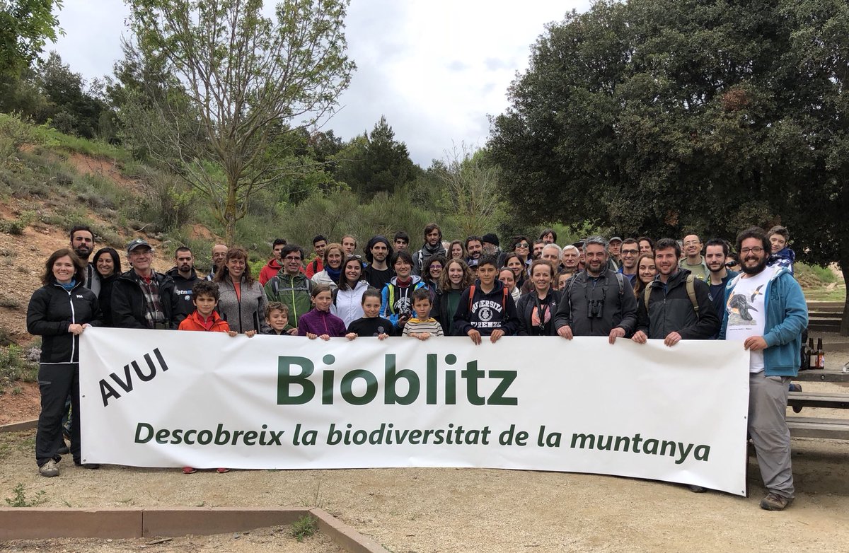 Cercavores's tweet photo. Immersió en la Natura al #bioblitz de CanMaçana! @PNMontserrat @PedreraFundacio https://t.co/xaFWAFvoaB