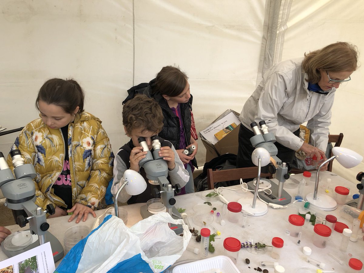 Cercavores's tweet photo. Immersió en la Natura al #bioblitz de CanMaçana! @PNMontserrat @PedreraFundacio https://t.co/xaFWAFvoaB