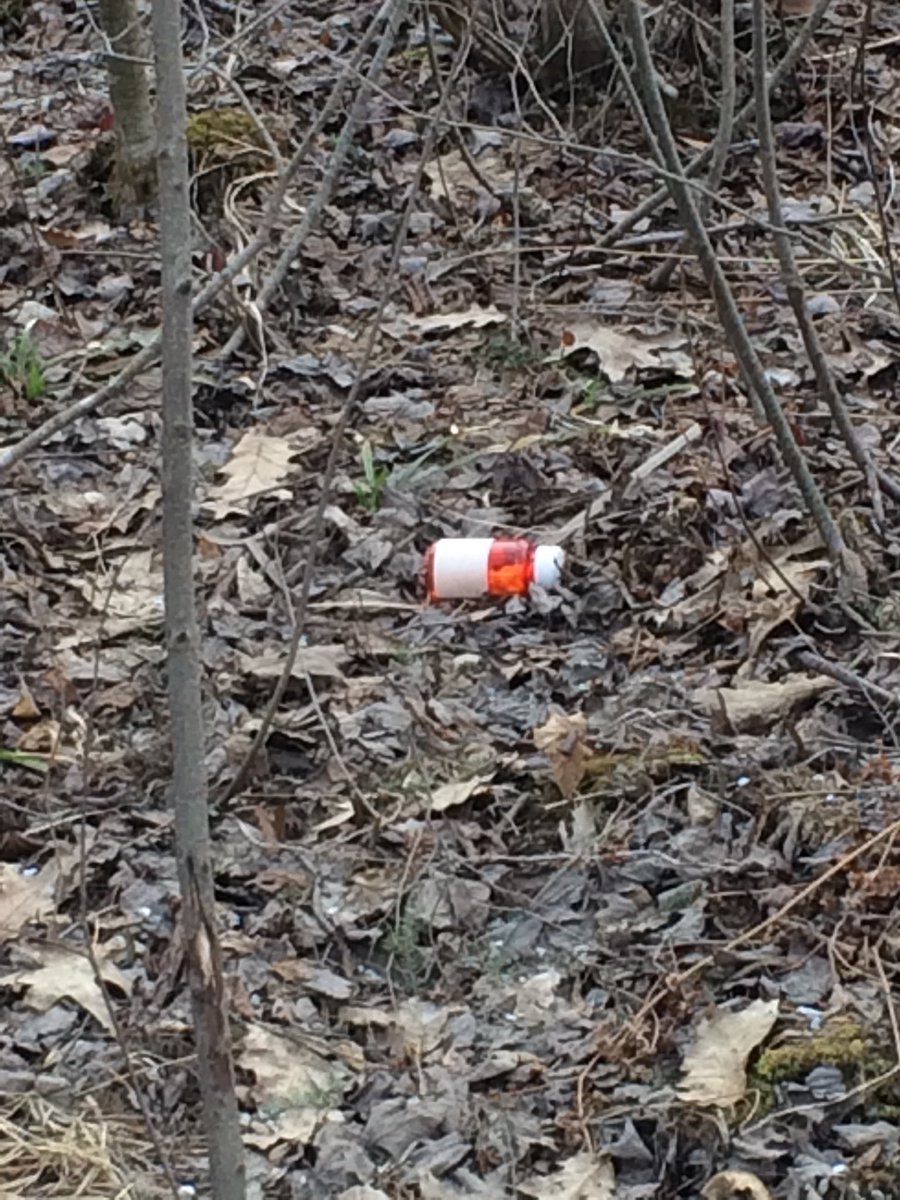 FCCC_VT's tweet photo. The sun is shining! Remember while you are out Greening Up our corner of this beautiful state if you see alcohol/tobacco/medication rubbish or other drug paraphernalia on the roadside snap a picture and share the location with us by using #franklincountycaringcommunities https://t.co/g3Vpr92QQW