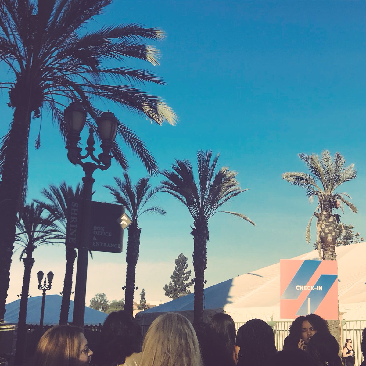 AllisonMat27 tweet picture