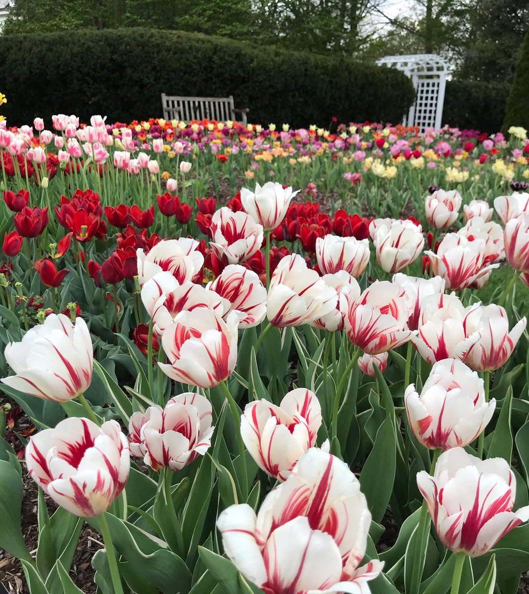 Experience #HelloSpring  <a href="/NewfieldsToday/">Newfields</a> 
#DiscoverNewfields #indy