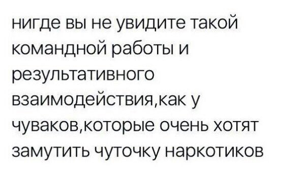 darknetrussia's tweet photo. тру https://t.co/OnFCFx7af7