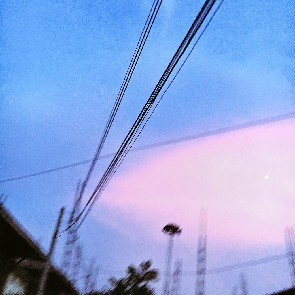 เ ว้ น ว ร ร ค ◦ soul in bloom ✿ tweet media