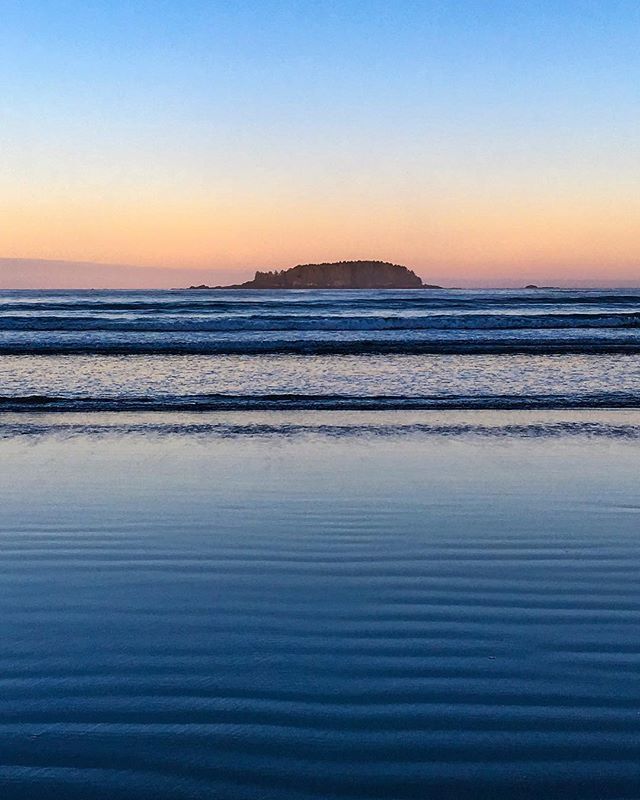 itomblack's tweet photo. Good morning from Vancouver Island π
β’
β’
β’
#vancouverbc #vancouverisland #pnwonderland #pnw #pacificnorthwest #bcisbeautiful #bcisawesome #bcisbest #ocean #surf #surfing #tofino #chestermanbeach #weekendvibes #sunrise #landscape #beautifullandscape #amazinglandscape #daw⦠https://t.co/t6ge7Un1nO