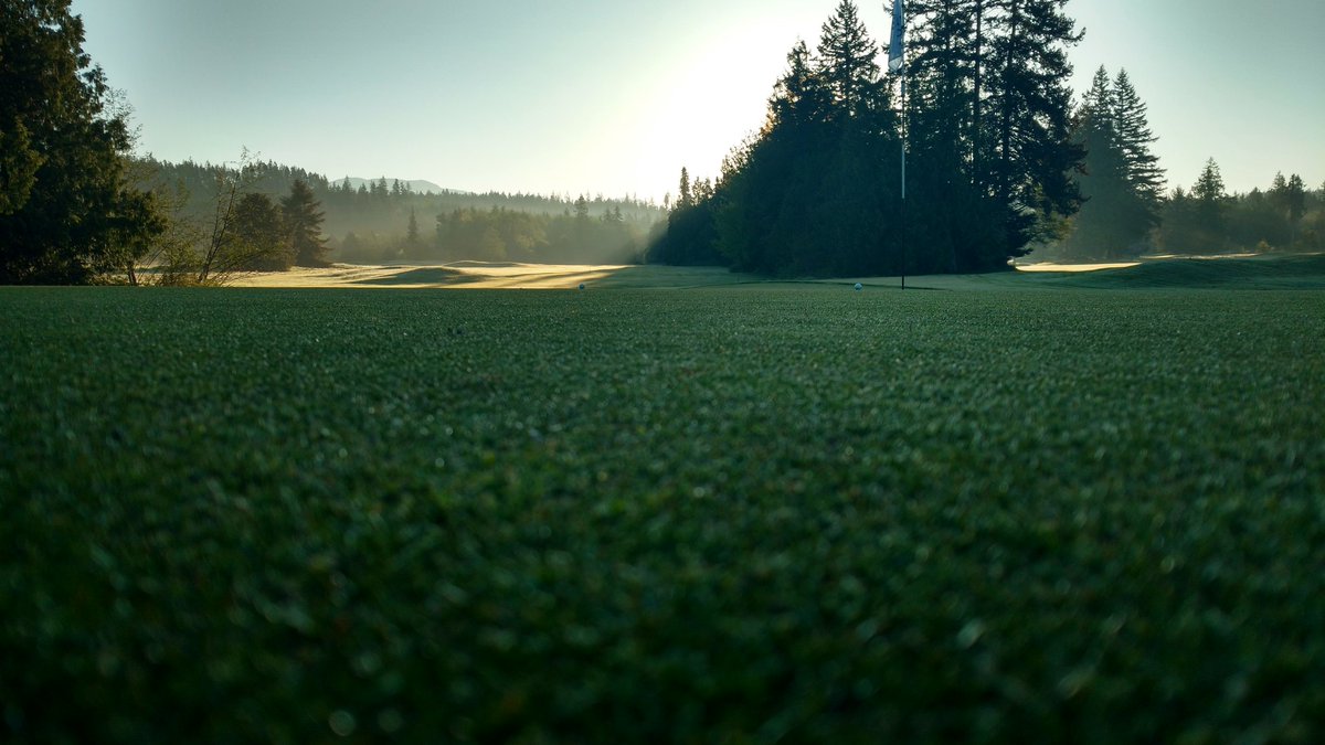 Beautiful morning and great conditions <a href="/myrtlepointgolf/">Myrtle Point GC</a>