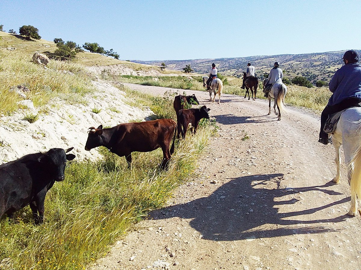 ZouinaCheval's tweet photo. Amazing landscapes during our #horsetrail late April/early May @ZouinaCheval in #Morocco https://t.co/4aP0L04FKf