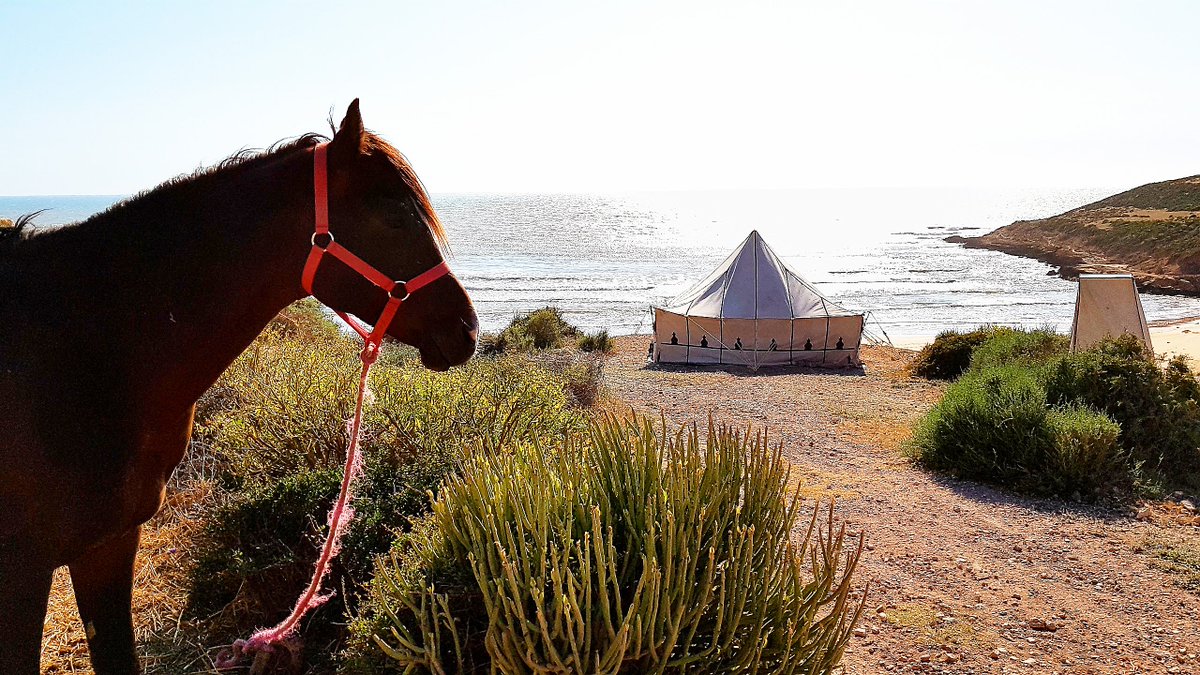 ZouinaCheval's tweet photo. Amazing landscapes during our #horsetrail late April/early May @ZouinaCheval in #Morocco https://t.co/4aP0L04FKf