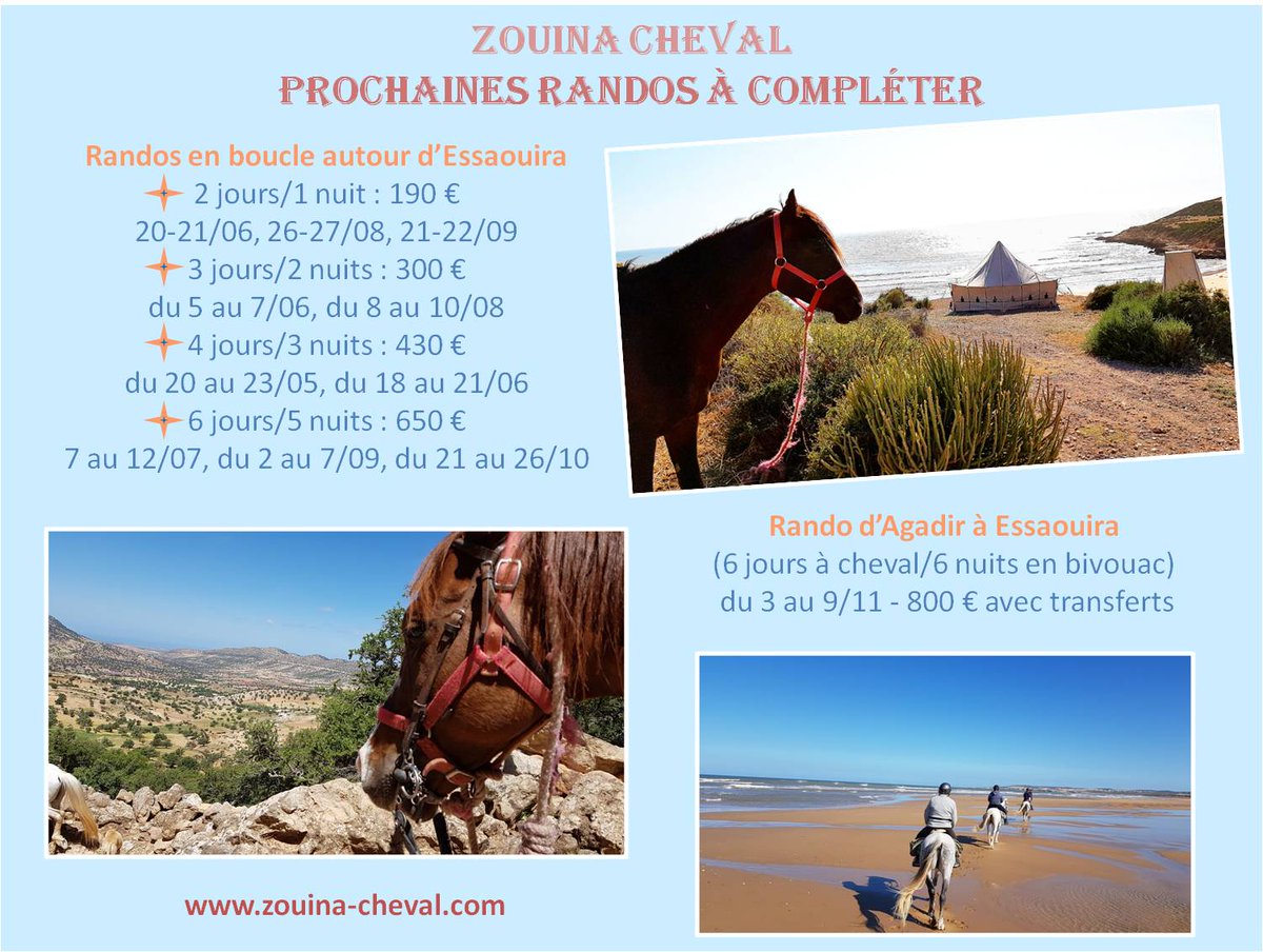 ZouinaCheval's tweet photo. #randoacheval #zouinacheval #maroc #Essaouira https://t.co/GczGlZCAhB