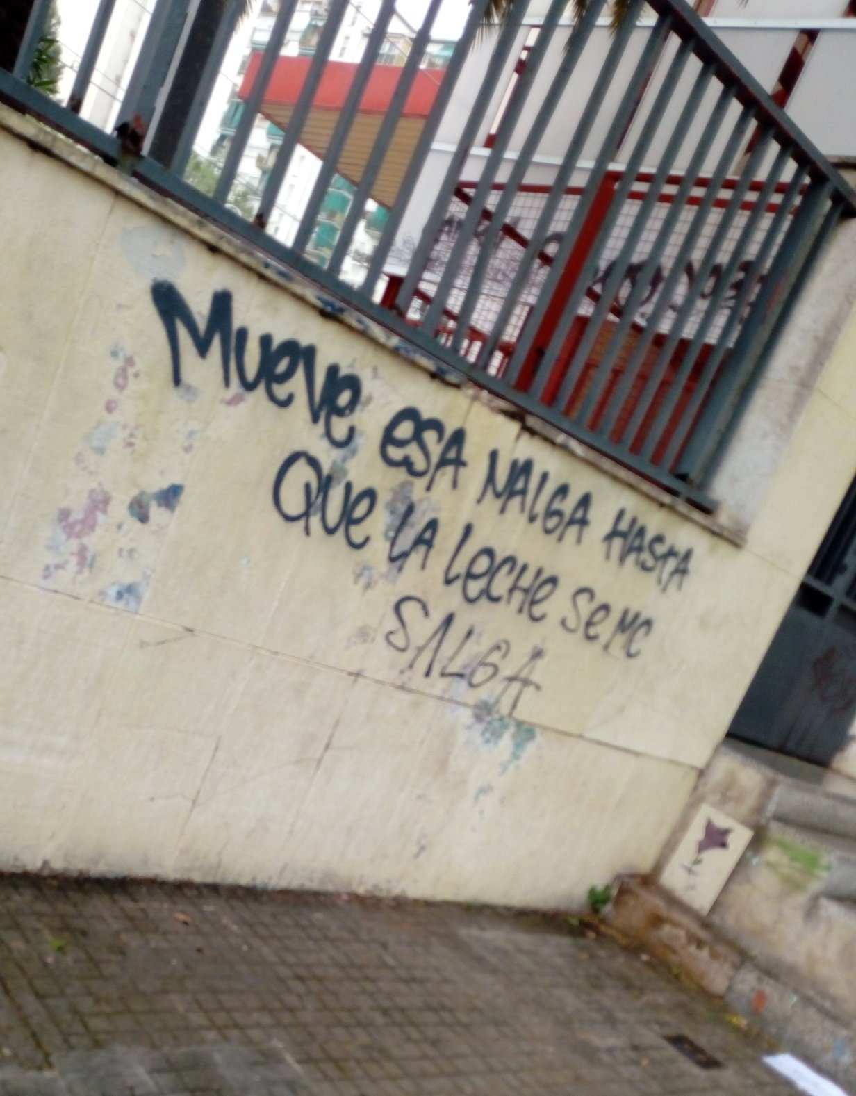Assemblea LH districte 1 on X: La pintada no ponía nada de  #LlibertatPresosPolítics y allí sigue, de verdad #MarinAmbEl155 🙄, reza:  mueve esa nalga hasta que la leche se me salga. t.coJPz2uJReyd 