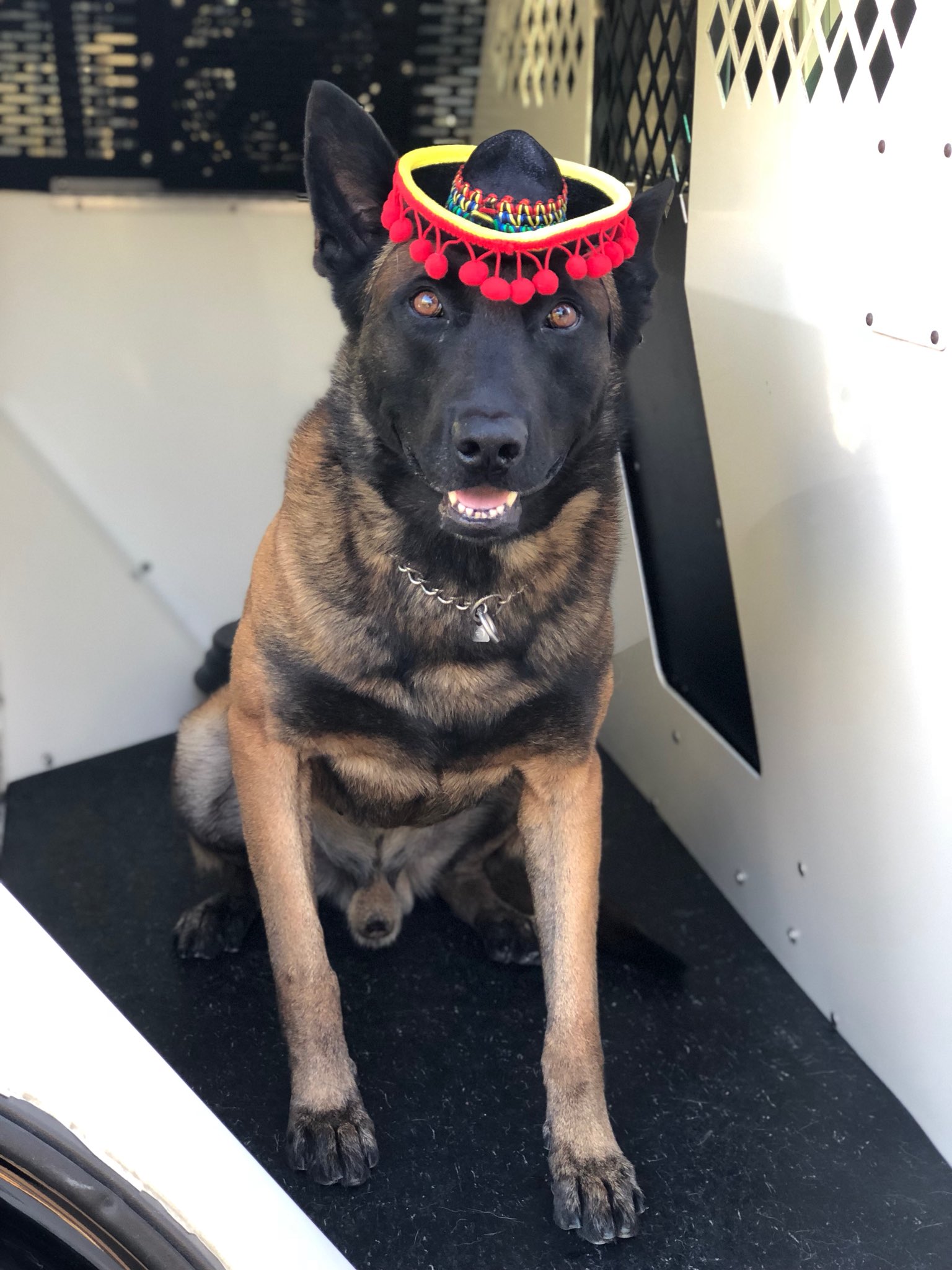 El Cajon Police Non Emergency - c1ysmb1