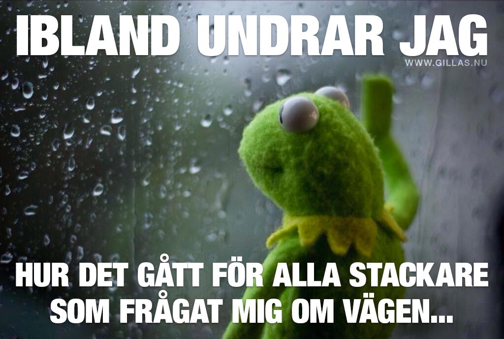 Malin Hellberg tweet media