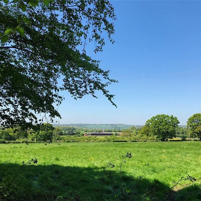 Weekends are for views like this 🌳☀️😍
.
.
#thatview #thatviewthough #view #views #beautiful #wow #landscape #landscapephotography #photography #pretty #rickmansworth #herts #hertfordshire #england #sunny #sunnyday #blueskies #bluesky #stunningviews #… ift.tt/2IdRqf9