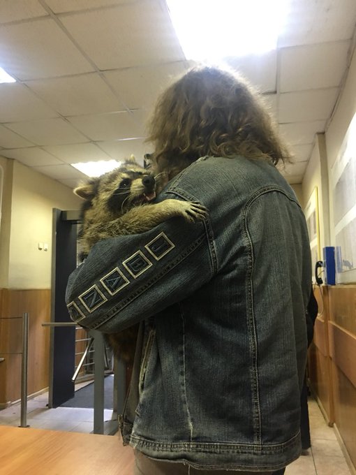 Посмотреть изображение в Твиттере